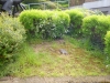 Kiwanis_Arbeitseinsatz_Treppenweg 004.JPG