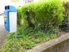 Kiwanis_Arbeitseinsatz_Treppenweg 005.JPG