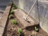 Kiwanis_Arbeitseinsatz_Treppenweg 021.JPG