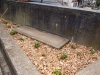 Kiwanis_Arbeitseinsatz_Treppenweg 074.JPG